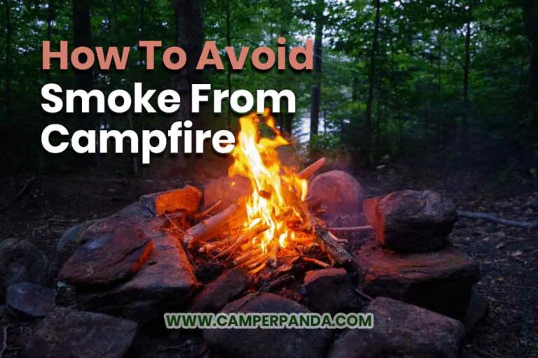 Smoke from Campfire | 8 Causes and Preventions